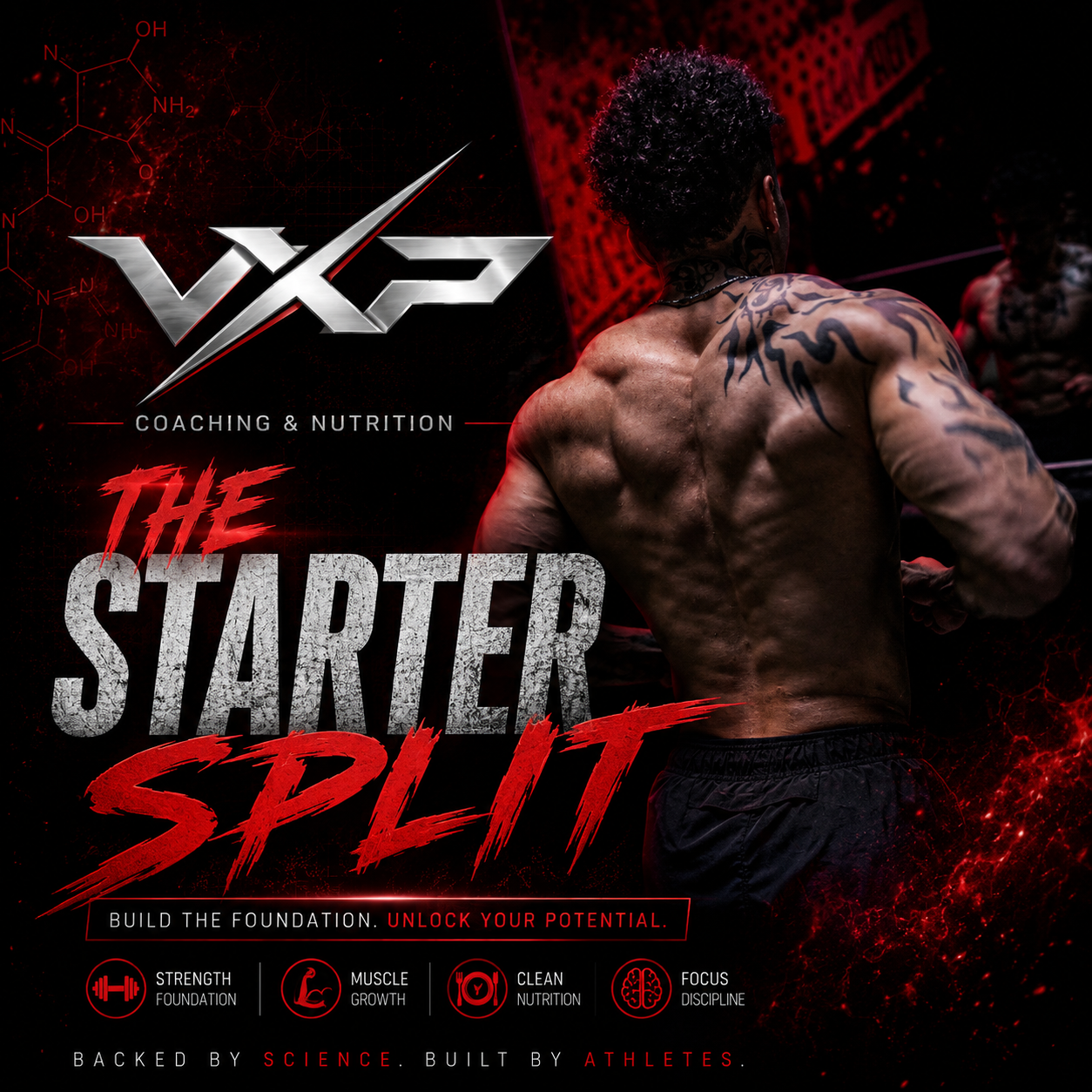 The Starter Split